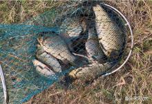 冬季钓鲫鱼，2个调漂最大误区，让你有吃口不中鱼