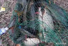 钓鱼人年终总结，哪个阶段鱼最难钓？居然不是冬季