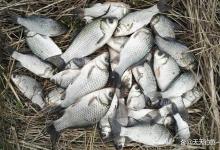 寒冬钓鱼，子母坠钓法攻略：超高灵敏度不怕吃口轻