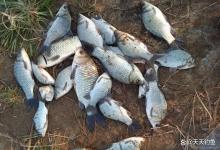 寒冬钓鲫鱼，半天不见发窝，做3个调整很快有鱼星