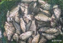 4种调漂方法对比：两种简单常用，一种最万能