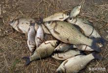 寒冬钓鲫鱼，筏钓方法详解：靠谱又稳妥，关键不挨冻