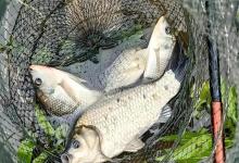 看懂水温，秒懂鱼情！掌握这份“水温密码”，渔获翻倍不是梦