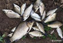 冬季钓鱼，为何晴天鱼难钓？哪种天气才是爆护天？