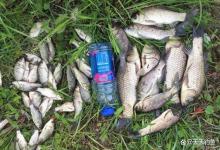 钓鱼人年终总结：钓了一年鱼，只有2个阶段最易爆护