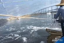 冬天大棚养殖虾如何肥水培藻？虾塘低温时用什么肥水最好？速看