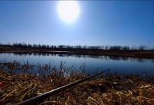 冬季晴天难钓鱼:鱼去哪了?别被太阳骗了!