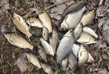 寒冬钓鲫鱼，找鱼窝的3种方法，位置不准必定走空