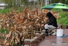 冬钓鲫鱼4个“禁忌”,有人第一步就做错了,难怪有鱼也钓不到