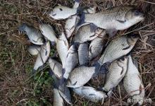 冬季野钓，爆护的6个条件，全部满足上鱼不断