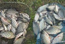 寒冬钓鱼4大难点，懂得其中规律，天寒地冻照样连杆