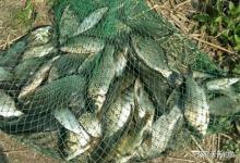 寒冬钓鲫鱼，3种方法专攻深水，天冷不必封杆