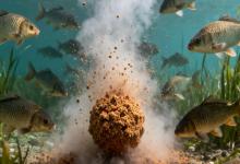 钓鱼打窝：给鲫鱼造一个“舍不得走”的窝，秘诀全在这！