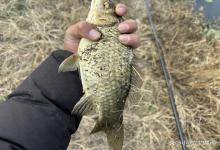 “子线加铅、法力无边”，别怀疑，它就是冬季最佳的调漂方式！