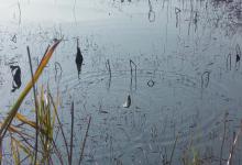 这个冬天，你是那个懂鱼的“老司机”，还是只会抱怨的“空军司令”？