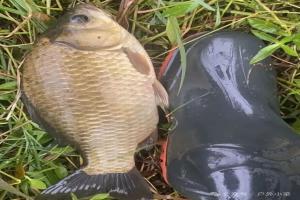 老钓友不说的：初春必须避开的位置