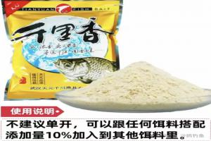 冬季钓鱼千里香怎么用？