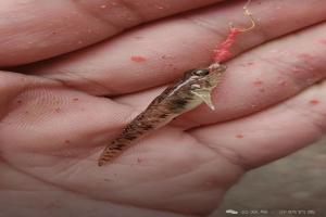 气压对钓鱼影响大不大？如何判断气压？