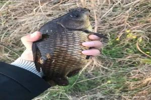 春季钓鱼要注意哪些事项