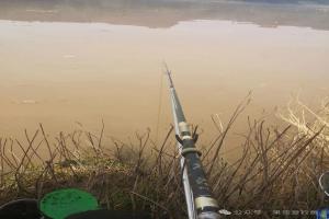 找鱼窝口诀：看水色、看风向、看地形（老钓手打死不传的秘密）