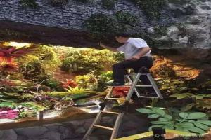 水草缸造景设计好看？初学者水草缸造景教程