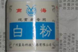 养鱼家中必备的几种东西，了解一下！