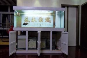 从0开始，1.8米鱼缸制作过程DIY