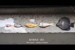 别以为：鱼便留在缸里，就是最坏的结果