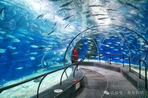 养鱼必看!杀菌灯装不装、怎么装、久开的危害