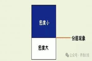 水的温度分层与水产养殖的关系