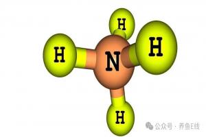 如何控制养殖水体氨氮含量