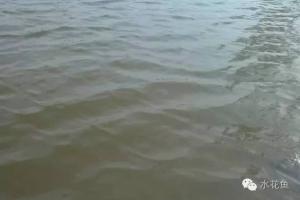 水在4℃时密度最大的原理与水产养殖的关系