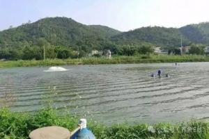 轮捕轮放：分期捕捞，捕大留小
