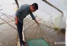 虾塘到底用什么肥水才能让池塘的水快速肥？此法谁用谁受益