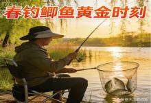 春钓鲫鱼黄金时刻来了！错过这阵子，再等一整年，真亏大了