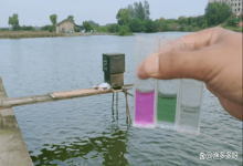鱼塘亚硝酸盐多久可以降下来？鱼塘亚硝酸盐怎么消除最快？速看