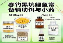 春钓黑坑鲤鱼稳上岸！常备辅助饵 小药用法，新手也能少走弯路