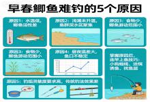 早春鲫鱼难钓？别怨鱼狡猾！5个核心原因没弄透，难怪你总空军