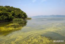水库出现蓝藻怎么办？水库蓝藻绿藻太多怎么治理？这里有方法