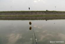 太阳一晒鱼就离底，钓浮是最笨的做法，老钓友都是这样做的