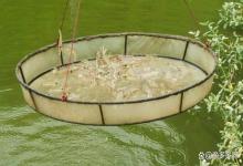 虾池用什么肥水？虾池用什么样的生物肥肥水最好？老虾农告诉你