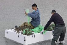 河蟹塘低温如何快速肥水培菌培藻？河蟹养殖冬季肥水能用复合肥吗？