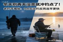 别天没亮就蹲钓点！老钓手亲测：9点后出钓，连竿比早起快3倍