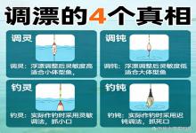 调漂别再瞎调！4个核心真相，分清调灵调钝、钓灵钓钝，新手也能稳抓口
