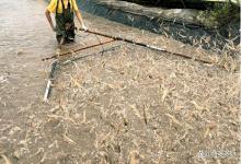 小棚养虾水深坑多！这几招稳水保虾，凭什么这么牛？错过就亏大了