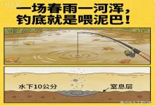 春雨后钓底必空军？水下10公分“窒息层”揭秘，找对水层渔获爆护
