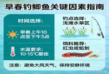 早春钓鲫鱼，最关键的不是技巧！找对核心，新手也能稳上大板鲫