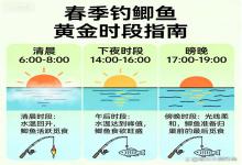 春季钓鲫鱼，选对时间=少空竿！3个黄金时段，错过等一周