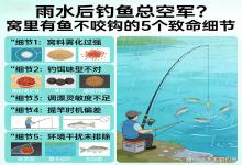雨水后钓鱼总空军？窝里有鱼不咬钩，这5个致命细节90%的人都踩坑了