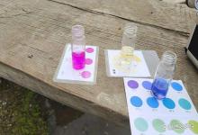 池塘ph值偏高怎么有效解决？鱼池ph值偏高应怎样处理？不看后悔